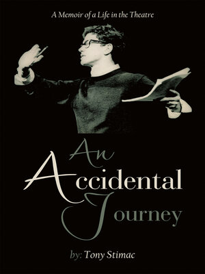 cover image of An Accidental Journey